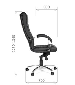 Офисное кресло CHAIRMAN 480 Экокожа премиум черная в Шадринске - предосмотр 2